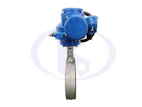 不銹鋼電動(dòng)對(duì)夾蝶閥