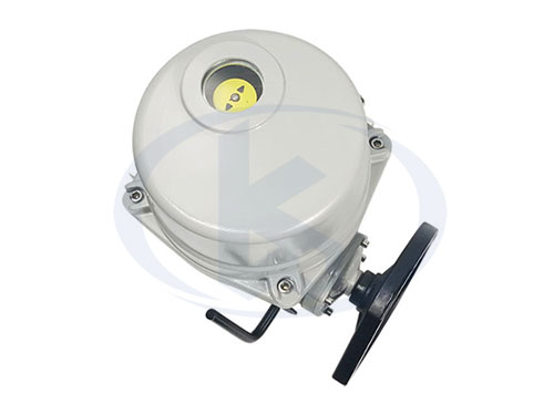 角行程電動執(zhí)行器