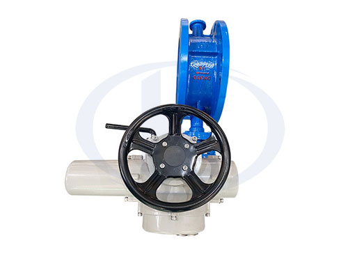 電動雙偏心蝶閥